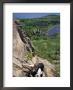 Hiking On The Beehive Trail, Maine, Usa by Jerry & Marcy Monkman Limited Edition Print