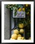 Lemons, Positano, Amalfi Coast, Campania, Italy by Walter Bibikow Limited Edition Pricing Art Print