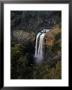 Lower Ebor Falls, Guy Fawkes River National Park, New South Wales, Australia by Richard I'anson Limited Edition Print