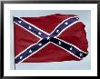 Confederate Flag Flying On A Pole by Francie Manning Limited Edition Print