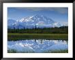 Tundra Ponds, Mt. Mckinley, Ak by Frank Staub Limited Edition Print