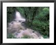 Cascade And Cloud Rainforest, Machu Picchu, Peru by Andres Morya Limited Edition Pricing Art Print