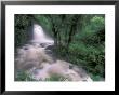 Cascade And Cloud Rainforest, Machu Picchu, Peru by Andres Morya Limited Edition Print