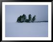 Winter Freezes Moosehead Lake Around An Island Cottage by Heather Perry Limited Edition Print