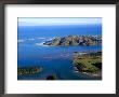 Whanganui Inlet, South Island, New Zealand by Bruce Clarke Limited Edition Print