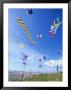 Kites On The Beach, Long Beach, Washington, Usa by John & Lisa Merrill Limited Edition Pricing Art Print