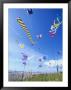 Kites On The Beach, Long Beach, Washington, Usa by John & Lisa Merrill Limited Edition Print