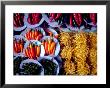 Traditional Foods, Thailand by John & Lisa Merrill Limited Edition Print