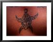 Tattoo Of Turtle, French Polynesia by Peter Hendrie Limited Edition Pricing Art Print