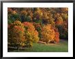 West Virginia, Autumn Trees by Robert Finken Limited Edition Print