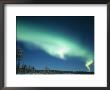 The Aurora Borealis, Lapland, Finland by Daisy Gilardini Limited Edition Print