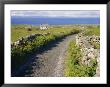 Country Road, Inishmore, Aran Islands, County Galway, Connacht, Republic Of Ireland (Eire), Europe by Ken Gillham Limited Edition Print
