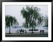 Bicyclists Enjoy The View In A Hangzhou Lakeside Park by James L. Stanfield Limited Edition Print