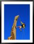 Man Rock Climbing, Joshua Tree National Park, Ca by Greg Epperson Limited Edition Print