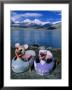 Hire Boats Sit On Shore Of Karakul Lake On Route To Kashgar, Kara Kul, Xinjiang, China by Grant Dixon Limited Edition Pricing Art Print