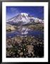 Reflection In Stream Of Grinnel Glacier, Mt. Rainier National Park, Washington, Usa by Jamie & Judy Wild Limited Edition Print