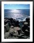 Otter Cliffs, Acadia National Park, Me by Mark Hunt Limited Edition Print
