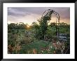 Garden, Appledore, Isles Of Shoals, Nh by Kindra Clineff Limited Edition Print