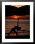 Woman Doing Yoga At Sunset, Phuket, Thailand, United States Of America by Jerry Alexander Limited Edition Print
