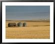 Grain Barn On Wheat Farm In Rosebud, Alberta, Canada by Walter Bibikow Limited Edition Print
