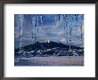 Icicles Hanging In Front Of Mountain, Bridger Mountains, Gallatin Valley, Usa by Carol Polich Limited Edition Print