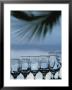 Wine Glasses Hang In Line Above An Abstraction Of A Palm Frond by Michael Melford Limited Edition Print