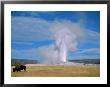 Bison And Old Faithful, Yellowstone National Park, Wy by Brian Maslyar Limited Edition Print