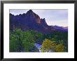 The Watchman Peak And The Virgin River, Zion National Park, Utah, Usa by Dennis Flaherty Limited Edition Print