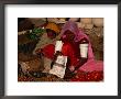 Women Selling Vegetables And Nuts At Jaisalmer Street Market, Jaisalmer, Rajasthan, India by Jane Sweeney Limited Edition Print