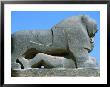 Lion Of Babylon Statue, Babylon, Babil, Iraq by Jane Sweeney Limited Edition Pricing Art Print