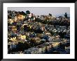 Houses Viewed From Mount Davidson, San Francisco, Usa by John Elk Iii Limited Edition Print