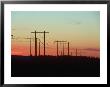 Silhouette Of Power Lines, Portland, Or by Donald Higgs Limited Edition Pricing Art Print