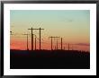Silhouette Of Power Lines, Portland, Or by Donald Higgs Limited Edition Print