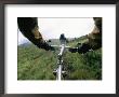 Expedition Members Pedal Their Way Through Lake Clark National Park by Bill Hatcher Limited Edition Print