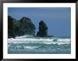Rolling Surf Approaches Piha Beach With Lion Rock In Background by Todd Gipstein Limited Edition Print