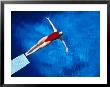 Aerial Of Woman Diving From A Diving Board by Rick Raymond Limited Edition Print