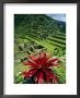 Stone Ruins, Machu Picchu, Peru by Jacob Halaska Limited Edition Pricing Art Print