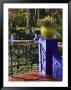 Villa Gardens, Jardin Majorelle And Museum Of Islamic Art, Marrakech, Morocco by Walter Bibikow Limited Edition Print