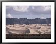 The Hongorin Els Dunes In The Gobi Desert by Dean Conger Limited Edition Print