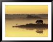 Early Morning Mist Shrouds Black Duck Pond With A Sika Deer by James P. Blair Limited Edition Pricing Art Print