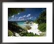 Tropical Beach Scene, Anse Patates, La Digue, Seychelles by Lee Frost Limited Edition Print