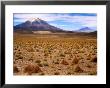 Altiplano Mountains And Scrub, Southwest, Bolivia by Woods Wheatcroft Limited Edition Print