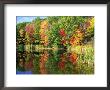 Fall Reflections, Sherman Lake, Me by Barry Slaven Limited Edition Pricing Art Print