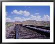 Railroad Tracks, Az by Len Delessio Limited Edition Print
