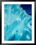 Icicles Formed When Melting Water And Sea Spray Re-Freeze, Antarctica by Chester Jonathan Limited Edition Print