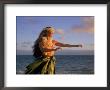 Hawaiian Hula At Sunrise, Hi by Tomas Del Amo Limited Edition Pricing Art Print