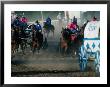 Chuck-Wagon Racing At The Calgary Stampede, Calgary, Canada by Rick Rudnicki Limited Edition Print