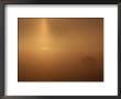 A Golden Sunrise Through Mist by Mattias Klum Limited Edition Print