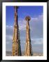 Sagrada Familia, Barcelona, Spain by Peter Adams Limited Edition Print