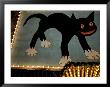 The Cat In The Alley At Tivoli In Copenhagen, Denmark by Keenpress Limited Edition Print